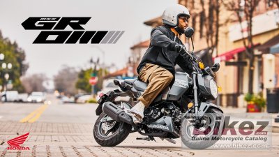 2025 Honda Grom