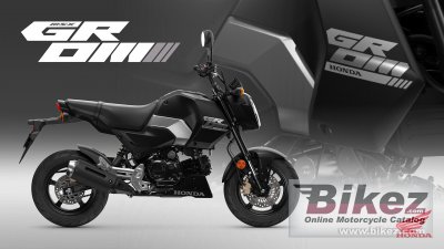 2025 Honda Grom