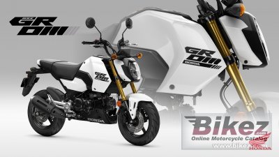 2025 Honda Grom