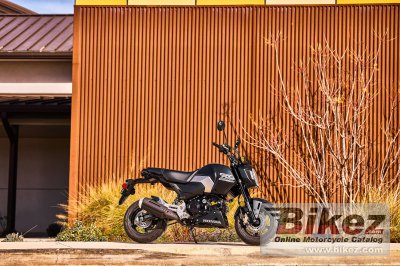2025 Honda Grom
