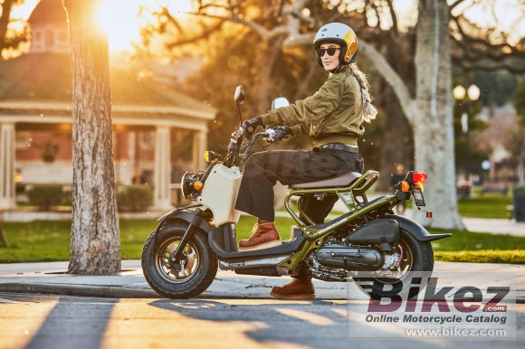 2025 Honda Ruckus