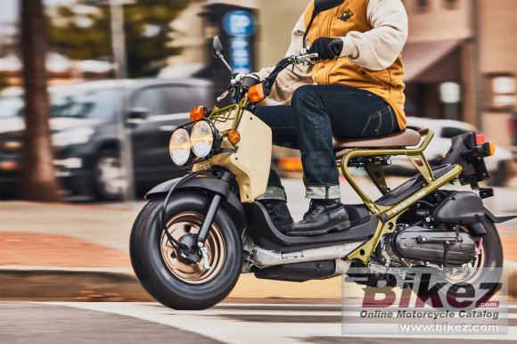 2025 Honda Ruckus