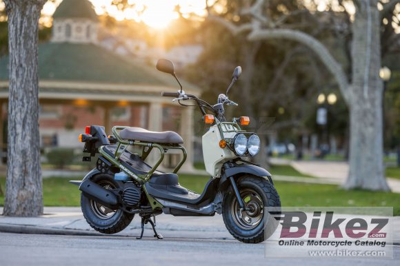 2025 Honda Ruckus