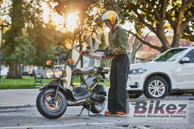 2025 Honda Ruckus