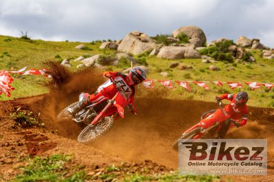 2025 Honda CRF250R