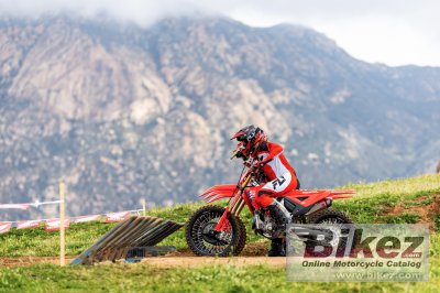 2025 Honda CRF250R