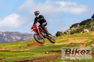 2025 Honda CRF250R