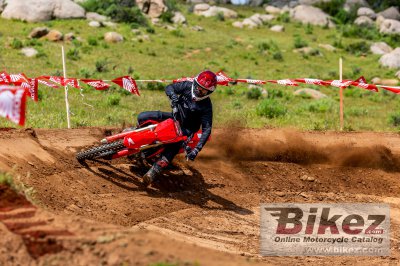 2025 Honda CRF250R