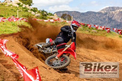 2025 Honda CRF250R