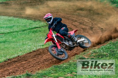 2025 Honda CRF250R