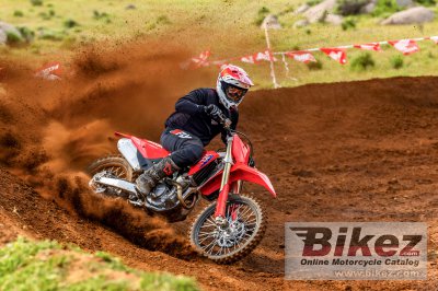 2025 Honda CRF250R