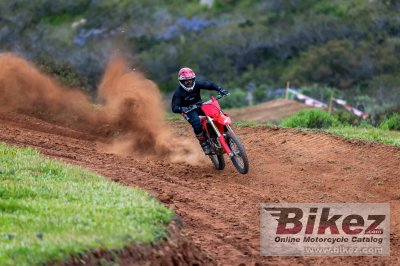 2025 Honda CRF250R