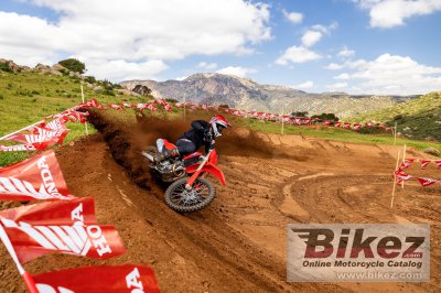 2025 Honda CRF250R