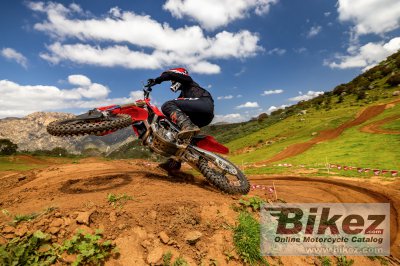 2025 Honda CRF250R