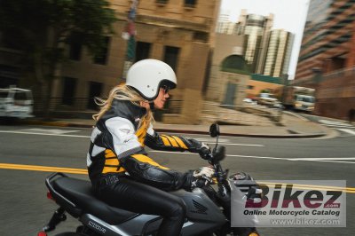 2025 Honda Navi