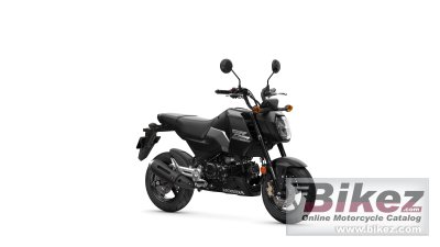 2025 Honda Grom