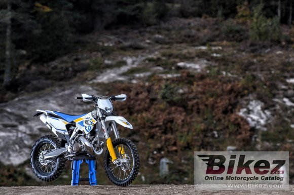 2014 Husqvarna TE300