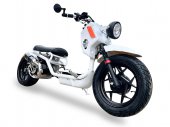 2025 Ice Bear Maddog Gen V 150 