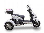2025 Ice Bear Mojo Z 50 Trike