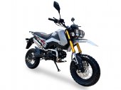 2025 Ice Bear Rogue Adv 125
