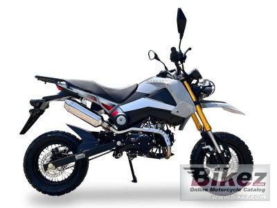 2025 Ice Bear Rogue Adv 125