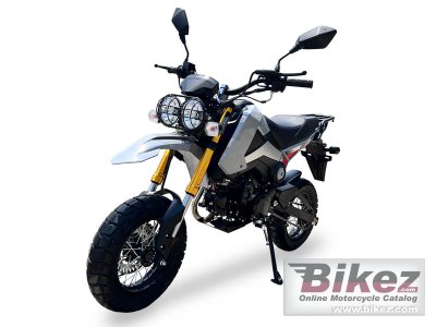 2025 Ice Bear Rogue Adv 125