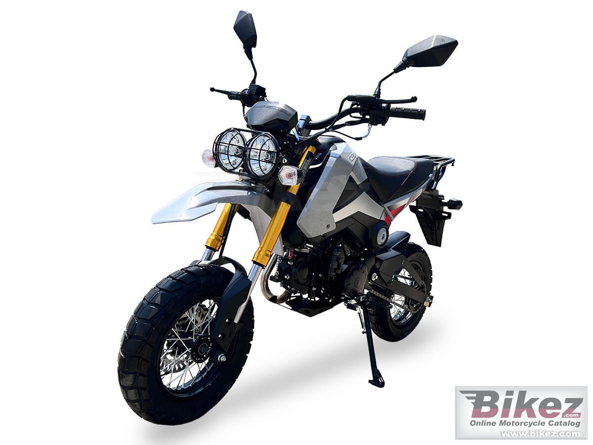 Ice Bear Rogue Adv 125