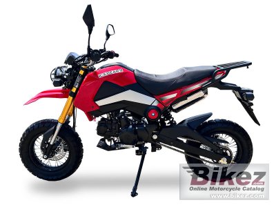 2025 Ice Bear Rogue Adv 125