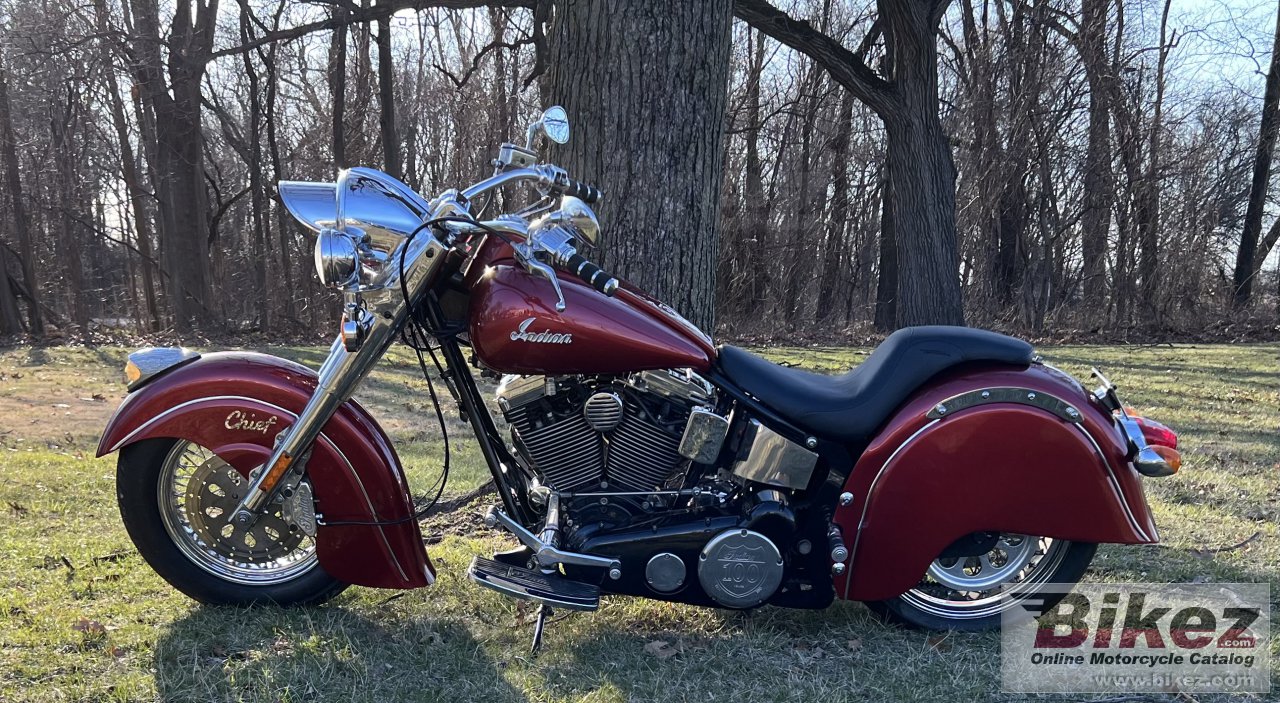 Indian Chief
