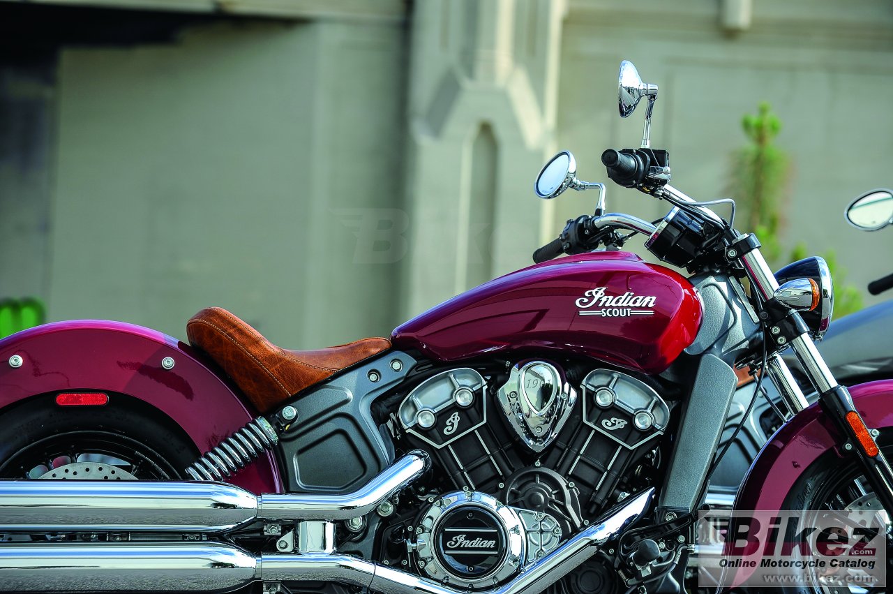 Indian Scout