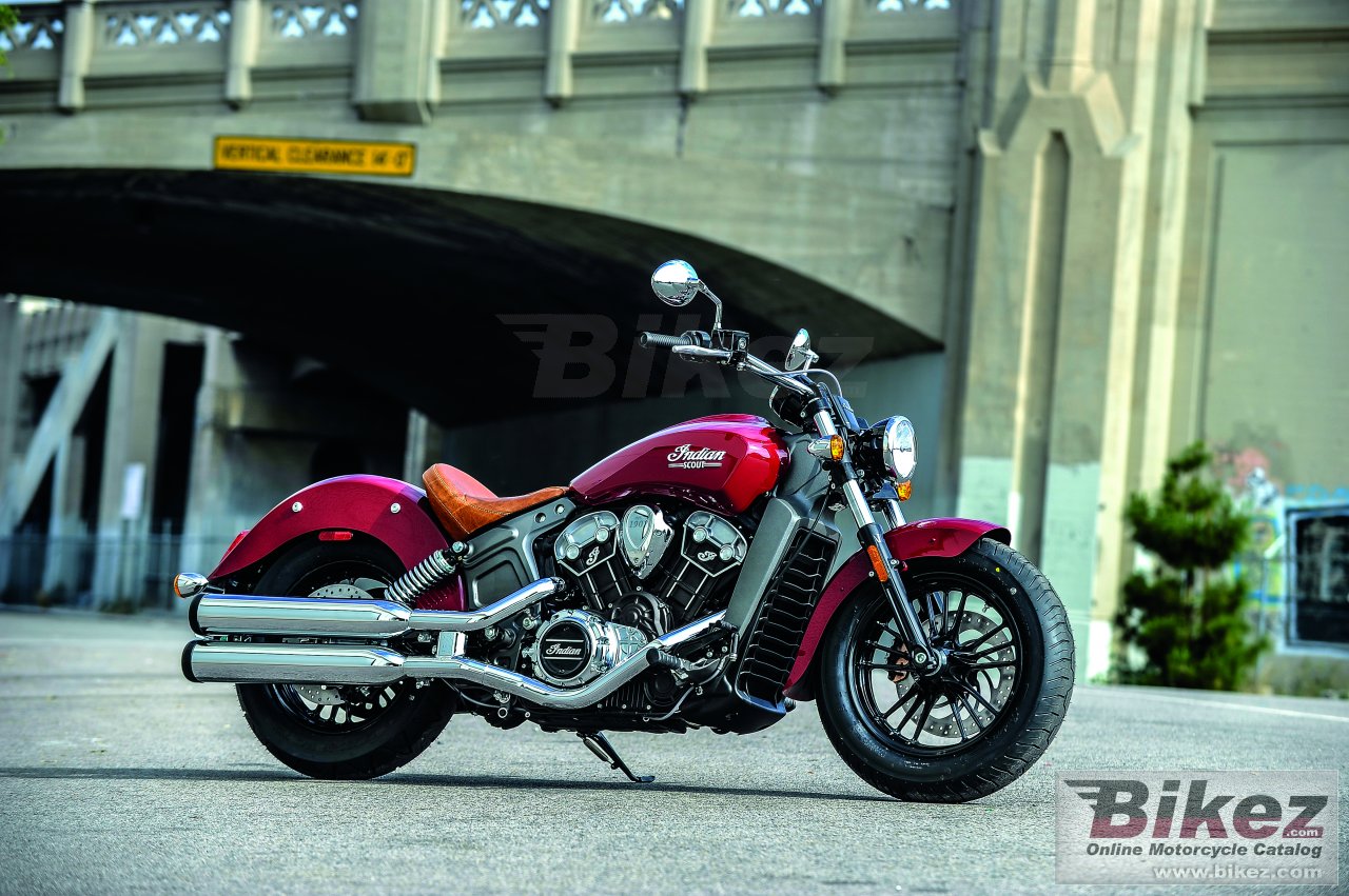 Indian Scout