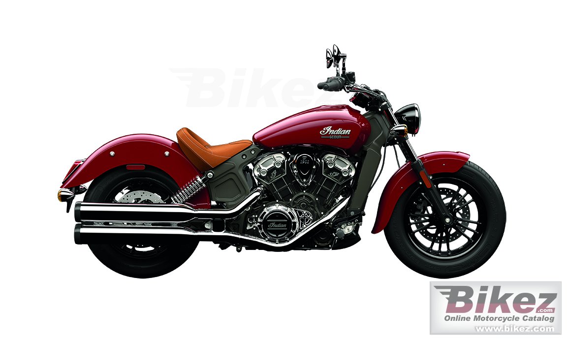 Indian Scout