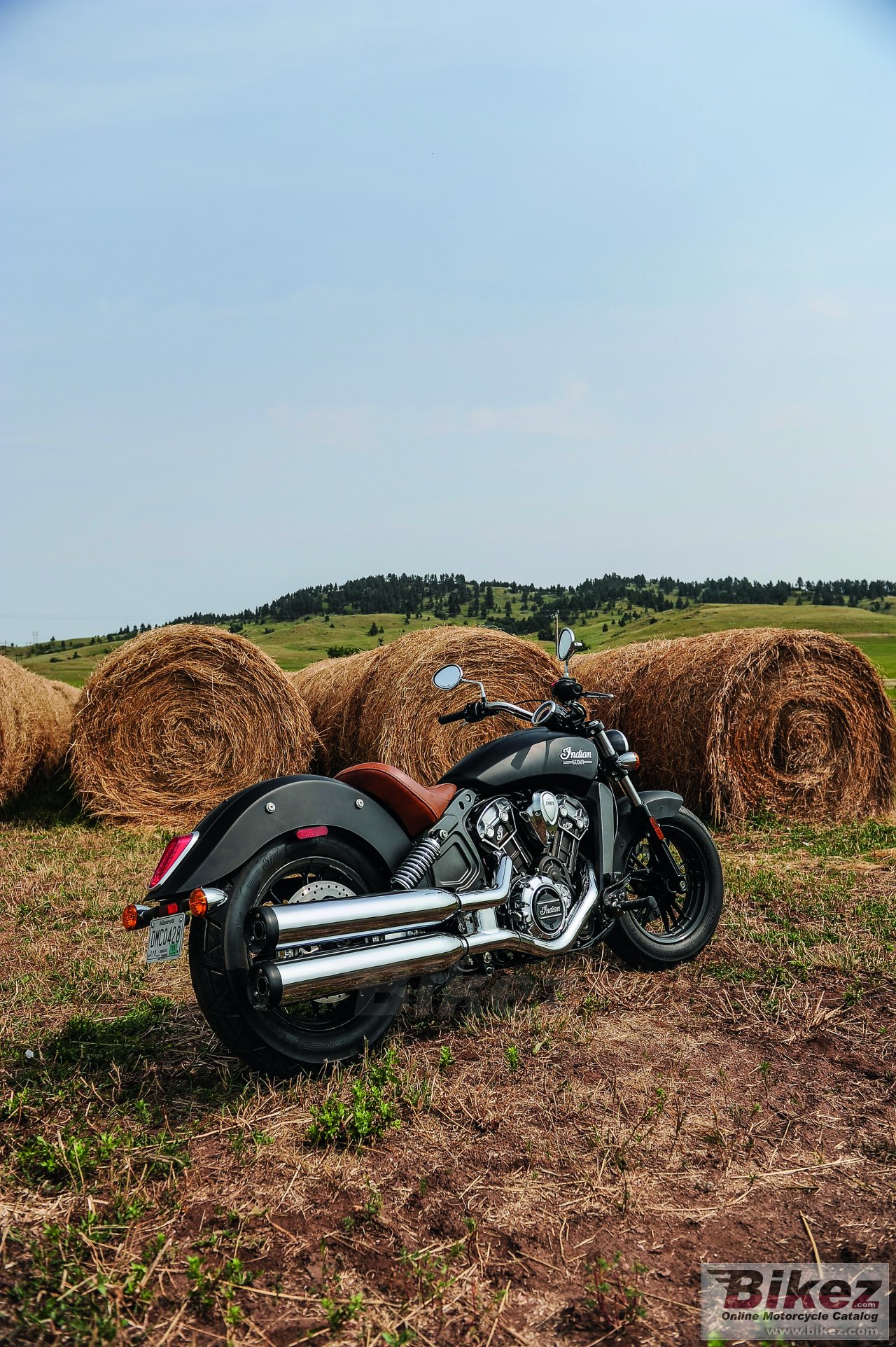 Indian Scout