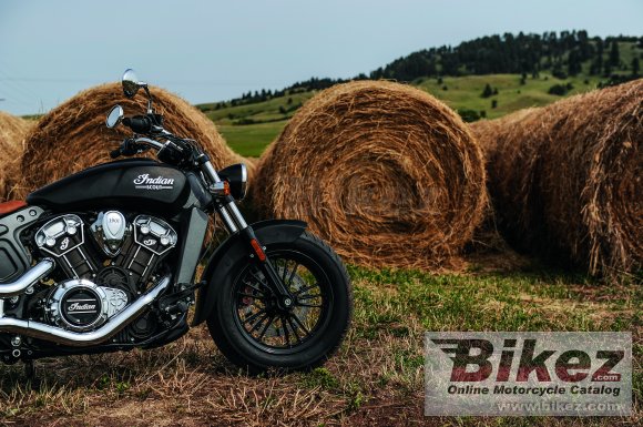 2015 Indian Scout