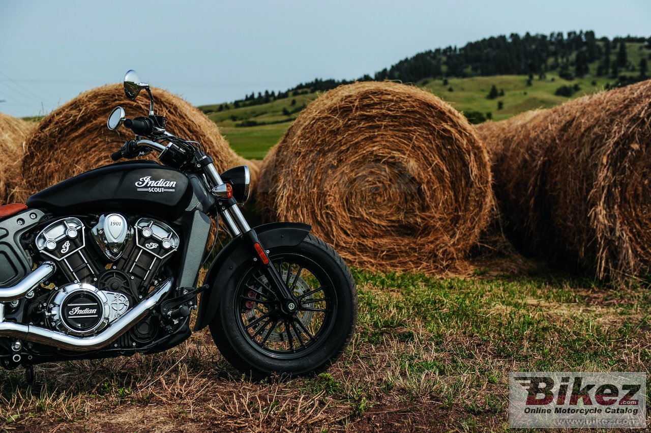 Indian Scout