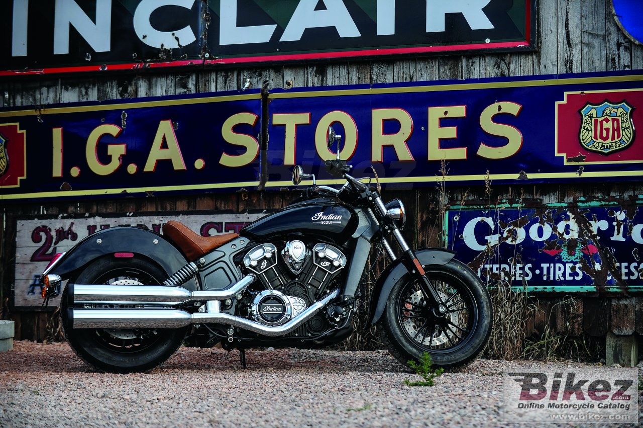 Indian Scout