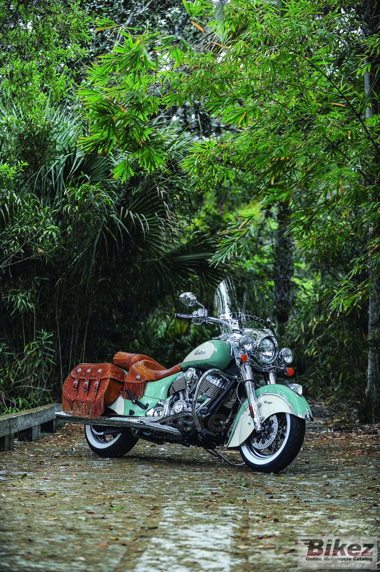 Indian Chief Vintage