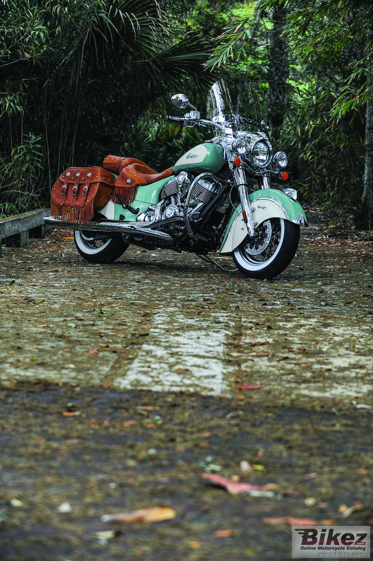 Indian Chief Vintage