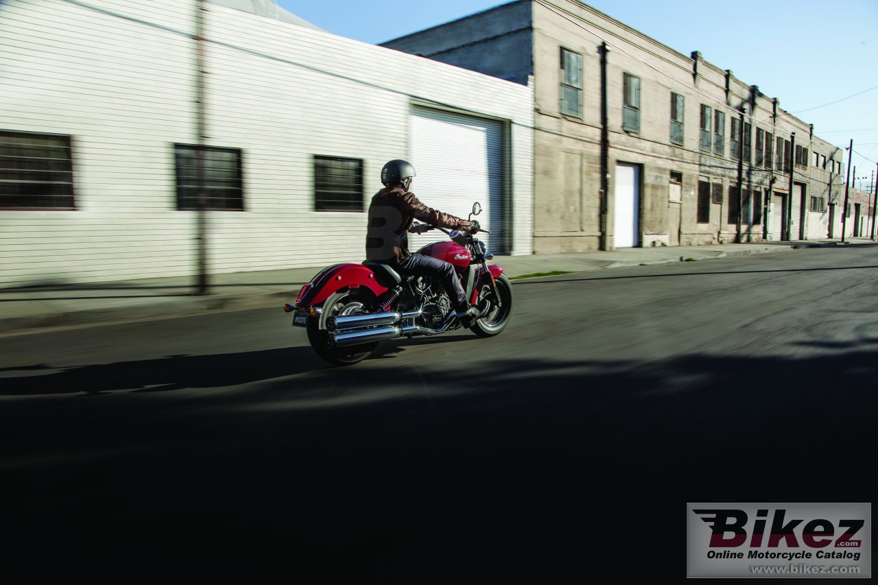 Indian Scout Sixty