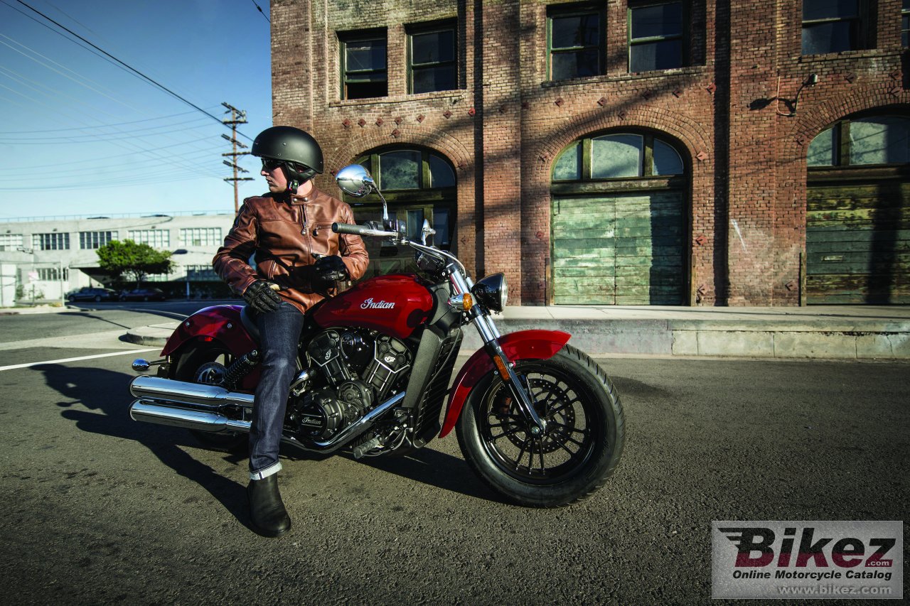 Indian Scout Sixty