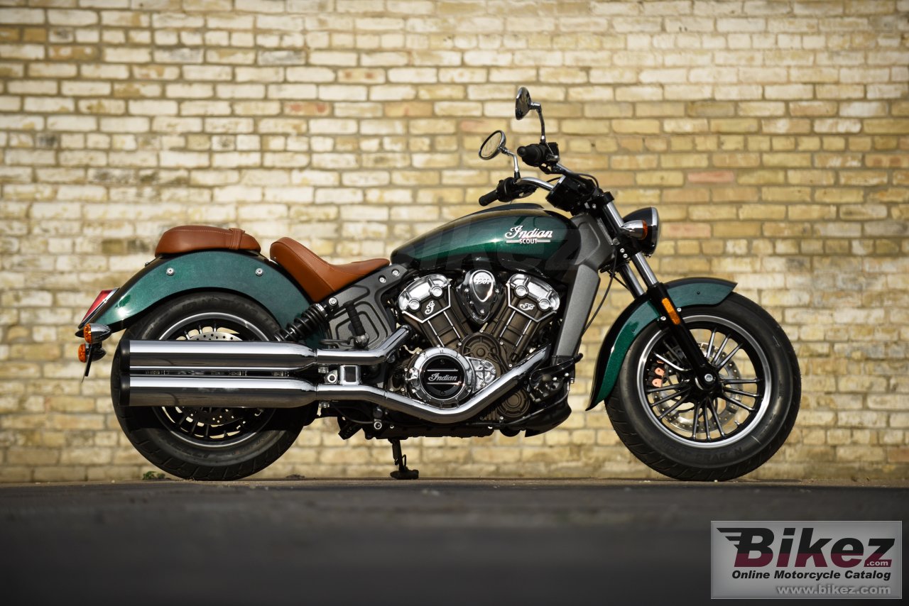 Indian Scout 