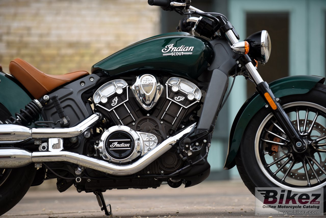 Indian Scout 