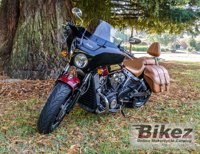 2019 Indian Scout 