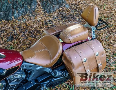 2019 Indian Scout 