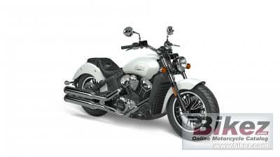 2021 Indian Scout 