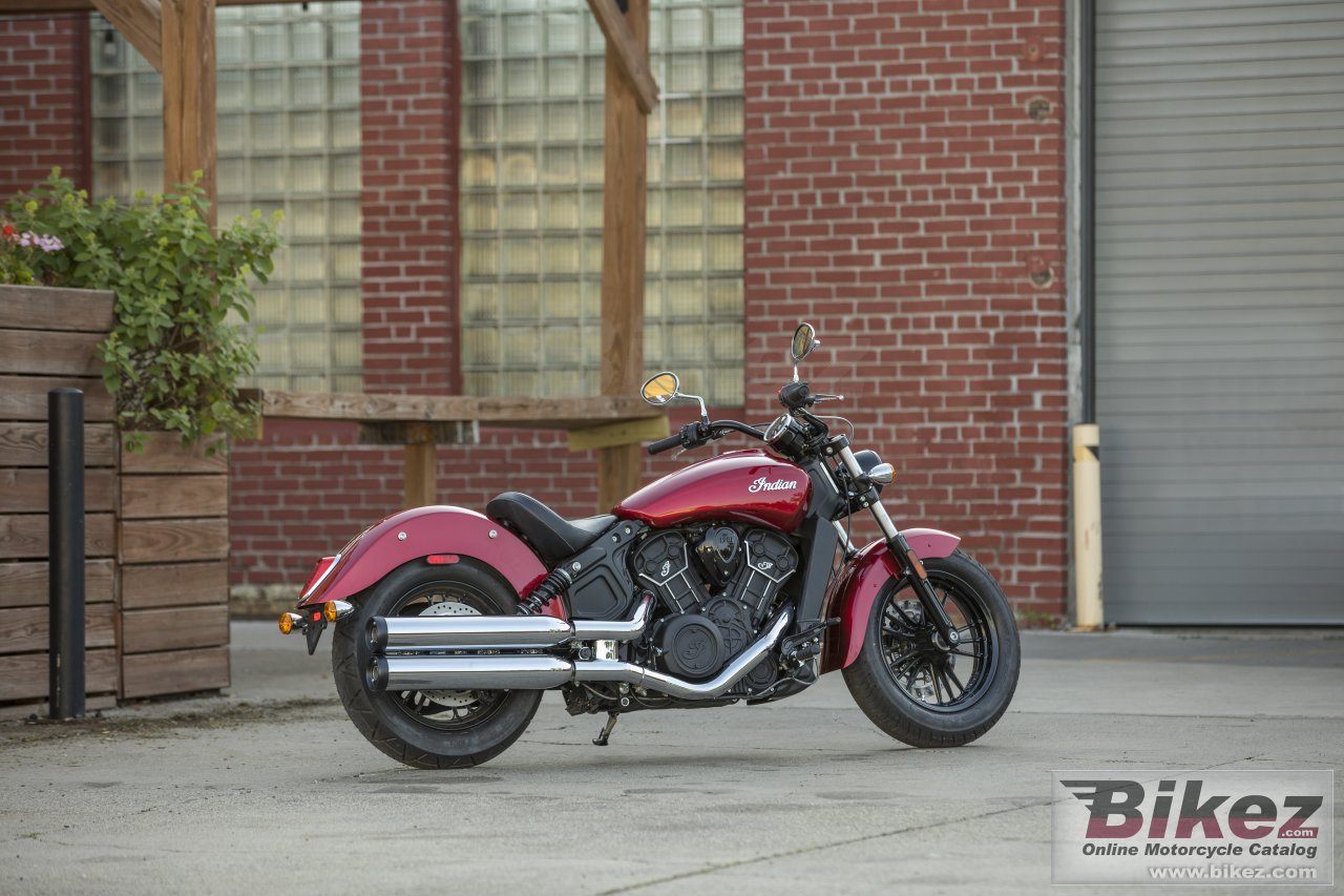 Indian Scout Sixty