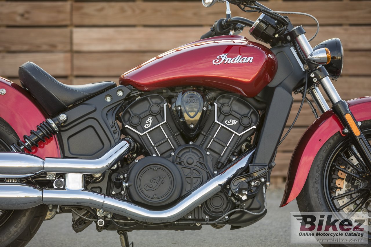 Indian Scout Sixty