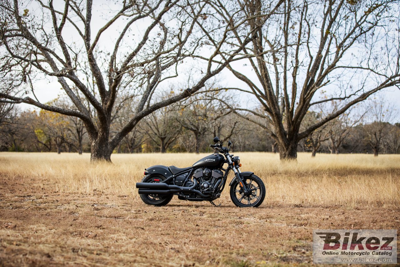 Indian Chief Dark Horse