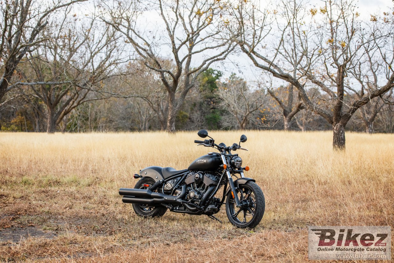 Indian Chief Dark Horse