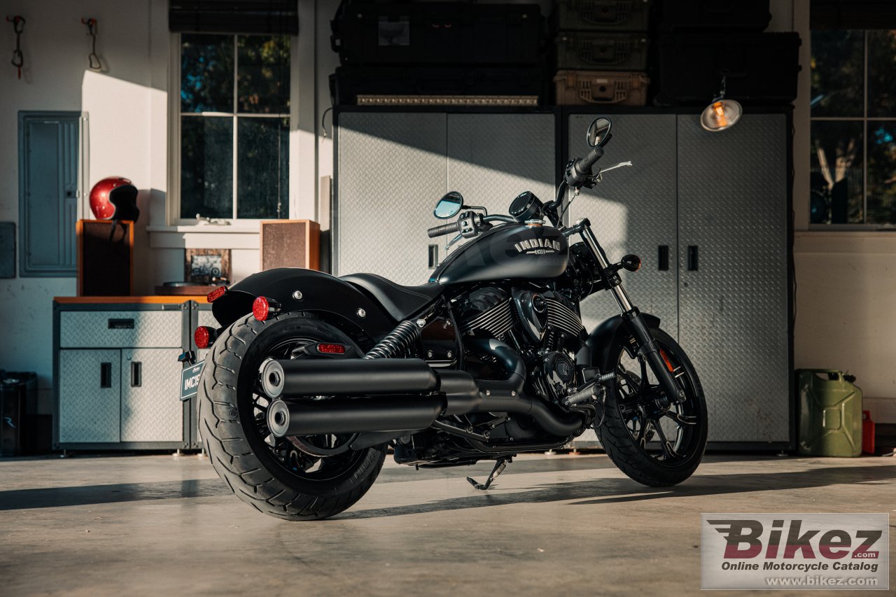 Indian Chief Dark Horse